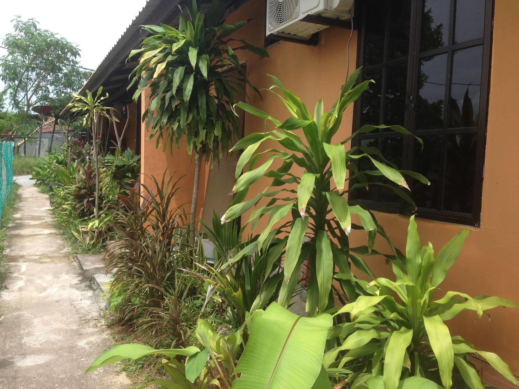 The Village Langkawi Pantai Cenang  Exterior foto